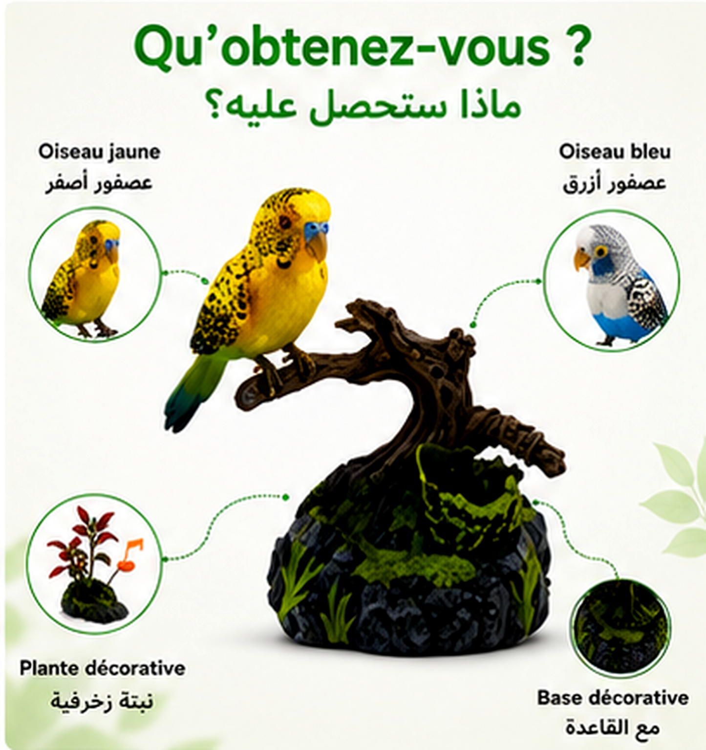 🐦 Oiseaux Interactifs Enchantés ✨