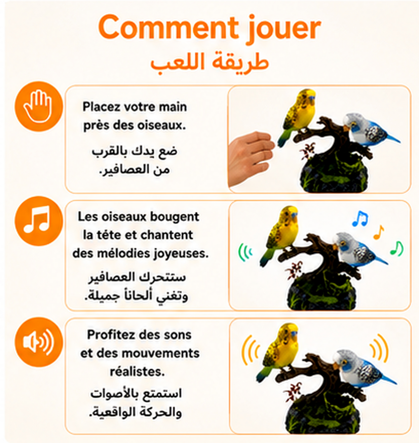 🐦 Oiseaux Interactifs Enchantés ✨