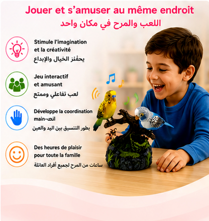 🐦 Oiseaux Interactifs Enchantés ✨