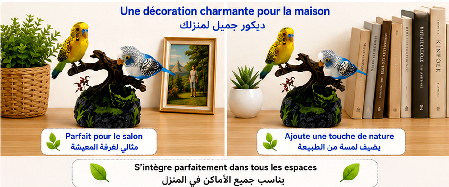 🐦 Oiseaux Interactifs Enchantés ✨